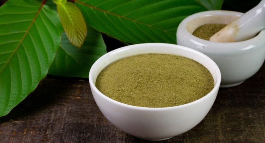 Bowl of kratom powder next to kratom leaves