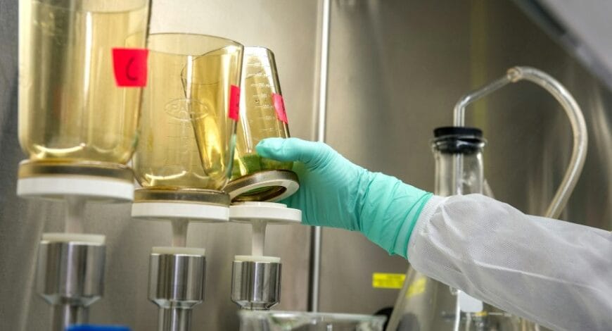 Gloved hand reaching for glass beaker in a lab